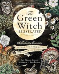 The Green Witch Illustrated - Sara Richard (ISBN: 9781507223192)
