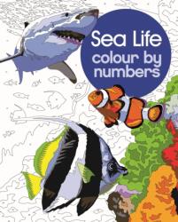 Sea Life Colour by Numbers (2024)