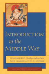 Introduction to the Middle Way - Padmakara Translation Group (ISBN: 9781590300091)