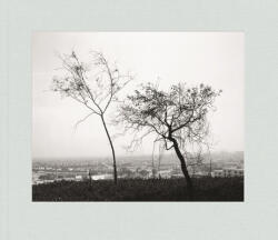 Robert Adams: Los Angeles Spring - Robert Adams, Joshua Chuang, Holger Feroudj (ISBN: 9783958296824)