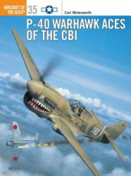 P-40 Warhawk Aces of the Cbi (2000)