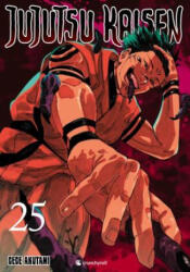 Jujutsu Kaisen - Band 25 - Gege Akutami, Costa Caspary (ISBN: 9782889518197)