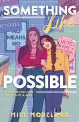 Something Like Possible (ISBN: 9781250845832)