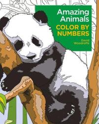 Amazing Animals Color by Numbers - Woodroffe David (ISBN: 9781398840461)