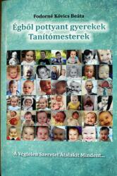 Égből pottyant gyerekek Tanítómesterek (ISBN: 9786150094816)