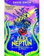 Alex Neptun si vanatoarea de pirati (Usborne) - Usborne Books (ISBN: 9786060964384)