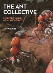 The Ant Collective (ISBN: 9780691255927)