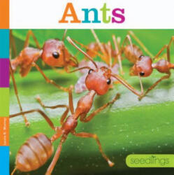Laura K. Murray - Ants - Laura K. Murray (ISBN: 9781628321845)