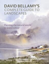 Ghidul complet al peisajelor de David Bellamy (2024)