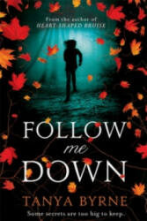 Follow Me Down - Tanya Byrne (2013)