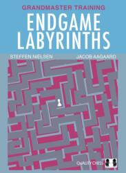 Endgame Labyrinths - Steffen Nielsen (ISBN: 9781784831523)