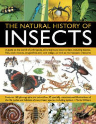 The Natural History of Insects: A Guide to the World of Arthropods Covering Many Insect Orders Including Beetles Flies Stick Insects Dragonflies (2013)