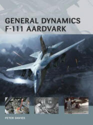 General Dynamics F-111 Aardvark - Peter Davies (2013)