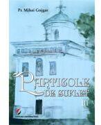 PArticole de suflet, vol. 3 - Pr. Mihai Gojgar (ISBN: 9786062817909)
