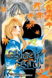 Black Bird, Vol. 17 - Kanoko Sakurakoji (2013)