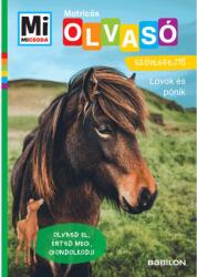 MM Olv. Matr. Lovak és pónik (2024)