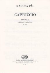 CAPRICCIO ZONGORÁRA OP. 23/H (ISBN: 9786310201115)