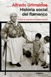 Historia social del flamenco - ALFREDO GRIMALDOS (ISBN: 9788499423845)