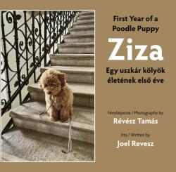Ziza (ISBN: 9786150206264)