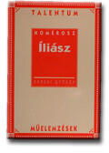 HOMÉROSZ: ILIÁSZ - TALENTUM MŰELEMZÉSEK - (ISBN: 9789637803574)