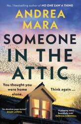 Someone in the Attic (2024)