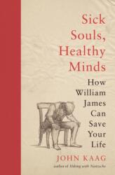 Sick Souls, Healthy Minds (ISBN: 9780691216713)