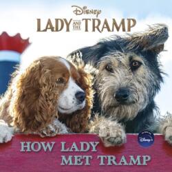 HOW LADY MET TRAMP (ISBN: 9781368059251)