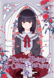PERKS OF BEING AN S CLASS HEROINE V03 - V03 (2024)