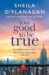 Too Good To Be True (ISBN: 9780755329946)