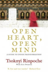 Open Heart, Open Mind - Tsoknyi Rinpoche (ISBN: 9781846043444)