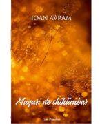 Muguri de chillimbar - Ioan Avram (ISBN: 9786303111827)