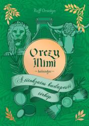Ruff Orsolya - A titokzatos budapesti térkép (2024)