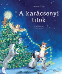 A karácsonyi titok (2024)