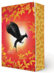Catching Fire (ISBN: 9781546171874)