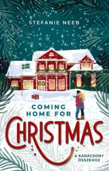 Coming Home For Christmas (2024)