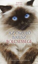Az őszülő bajusz bölcsessége (2024)