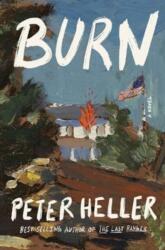 Burn (ISBN: 9780593801628)