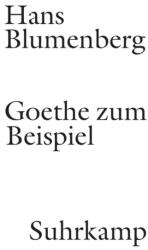 Goethe zum Beispiel (ISBN: 9783518586242)