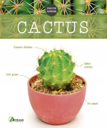 Koenig - Cactus - Koenig (ISBN: 9782816014327)