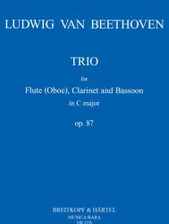 TRIO FOR FLUTE (ISBN: 9786390196875)