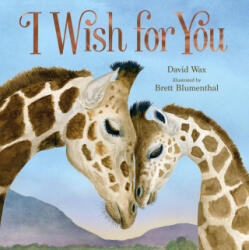 I Wish for You - Brett Blumenthal (ISBN: 9781250822185)