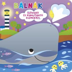 Ki bújt el? Bálnák (ISBN: 9789634834489)