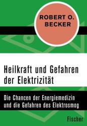 Heilkraft und Gefahren der Elektrizität (ISBN: 9783596320462)
