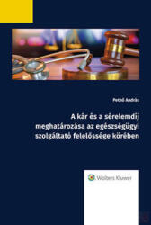 A KÁR ÉS A SÉRELEMDÍJ MEGHATÁROZÁSA AZ EGÉSZSÉGÜGYI SZOLGÁLTATÓ FELELŐSSÉGE KÖRÉ (ISBN: 9789635943289)