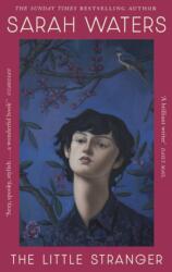 The Little Stranger (ISBN: 9780349018515)