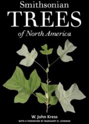 Smithsonian Trees of North America - W. John Kress, Lonnie G. Bunch, Margaret D. Lowman, Scott & Nix Inc Scott & Nix Inc (ISBN: 9780300185218)