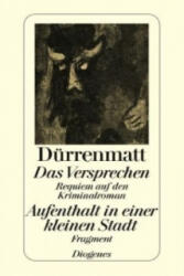 Das Versprechen. Aufenthalt in einer kleinen Stadt (ISBN: 9783257230635)