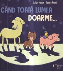 Cand toata lumea doarme (ISBN: 9786060964889)