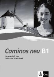 Lösungsheft zum Lehr- und Arbeitsbuch B1 (ISBN: 9783125149236)
