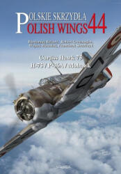 Curtiss Hawk H-75 - Franciszek Strzelczyk, Artur Juszczak (ISBN: 9788367227612)